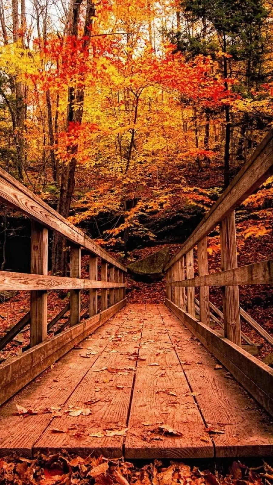 Autumn Season Tablet Wallpaper