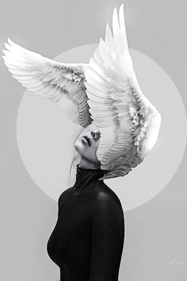 Download Freedom From Cage Profile Picture