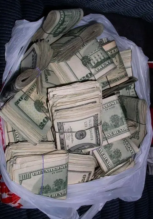 Download Image of Lots of Dollars in a Plastic Bag