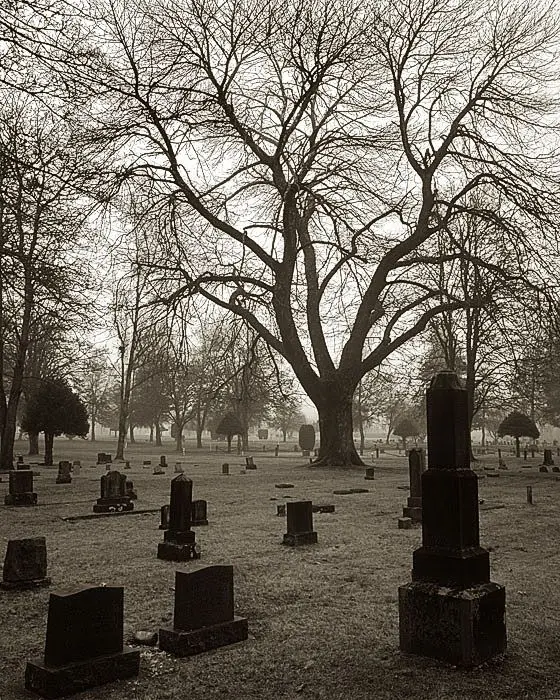 Black and White Cemetery Photos with Eerie Beauty