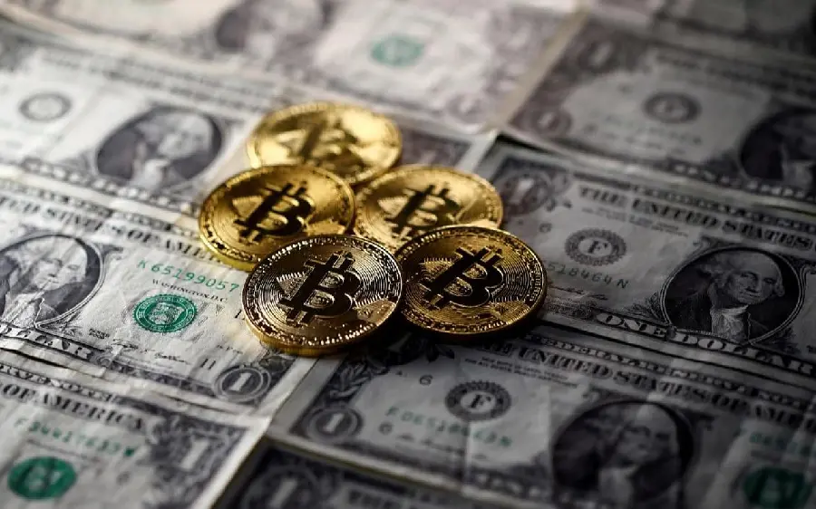 Bitcoin And Dollar Photo