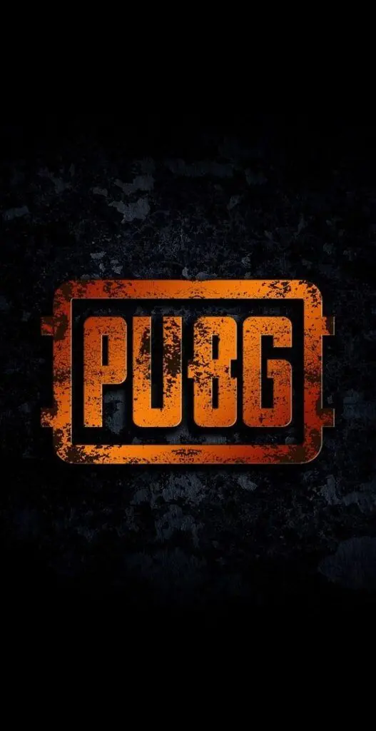 High-Quality PUBG Image for Profile