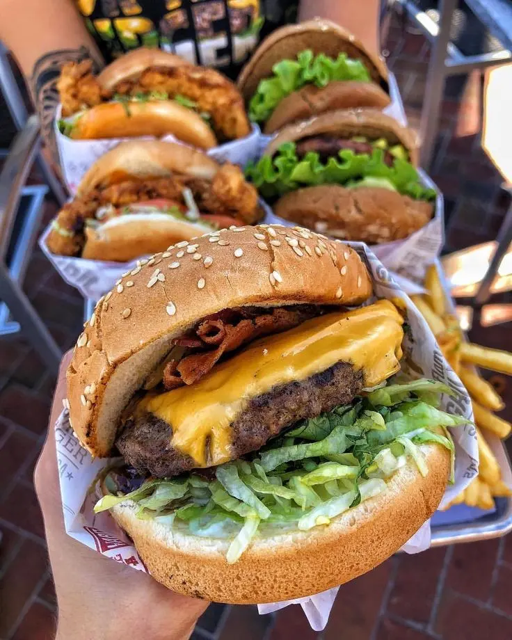 Special Burger Sandwich Photo for Food Bloggers