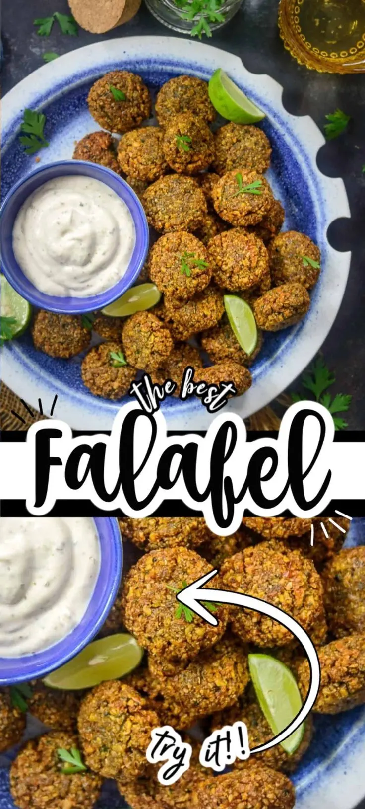 Download Falafel Sandwich Photo for Food Enthusiasts