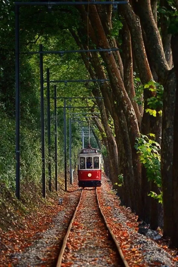 Download High-Quality Red Train Image