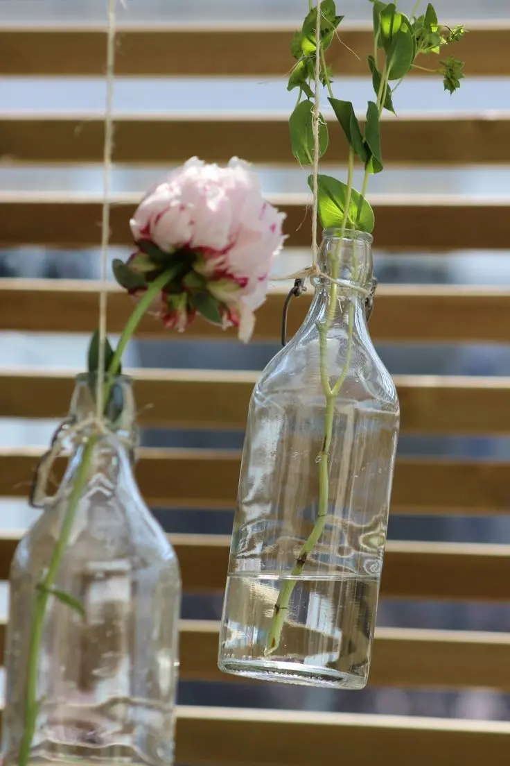 Download Image of Flower in Soda Bottle