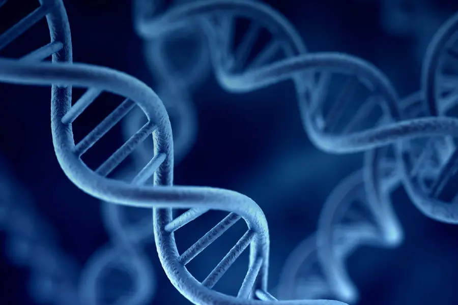Download High-Quality Gene Photo