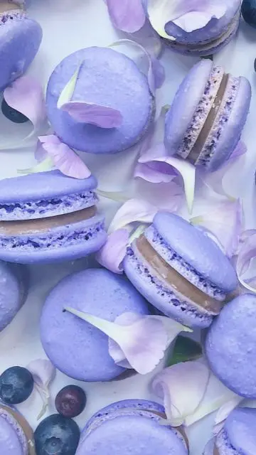 Purple Macaron Dessert Photos