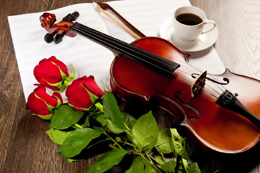 Violin and Red Rose Wallpaper - Perfect for Romantic Backgrounds
