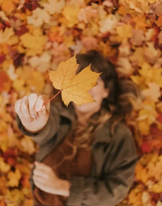 Download Girly Autumn Background Image