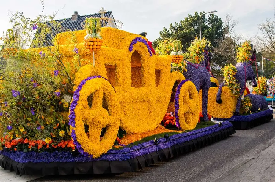 Yellow Tulips at the Tulip Festival