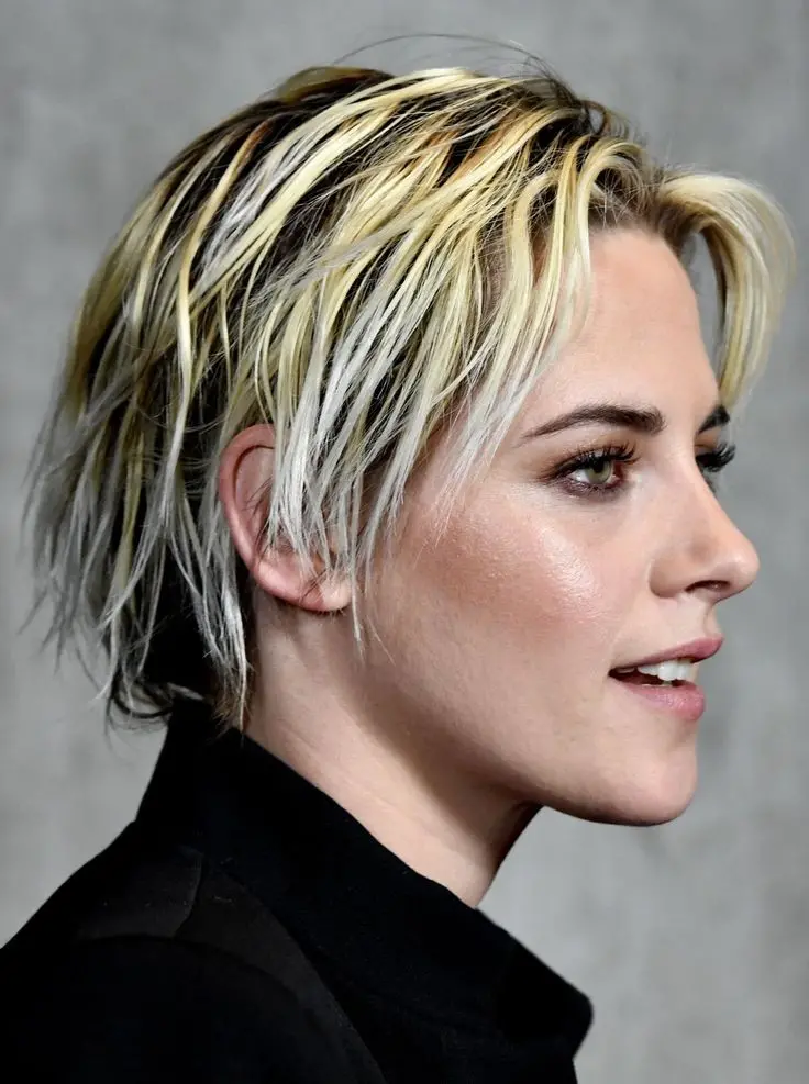 Download Kristen Stewart Mocked by Americans Photos