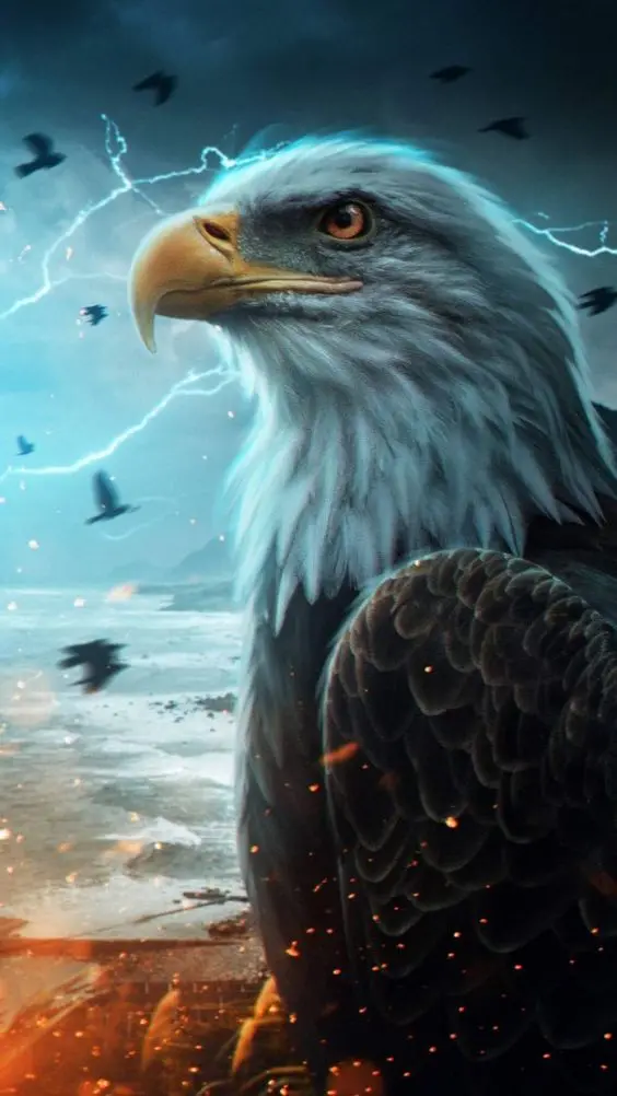 Fantasy Bald Eagle Image in High Quality for Wallpapers