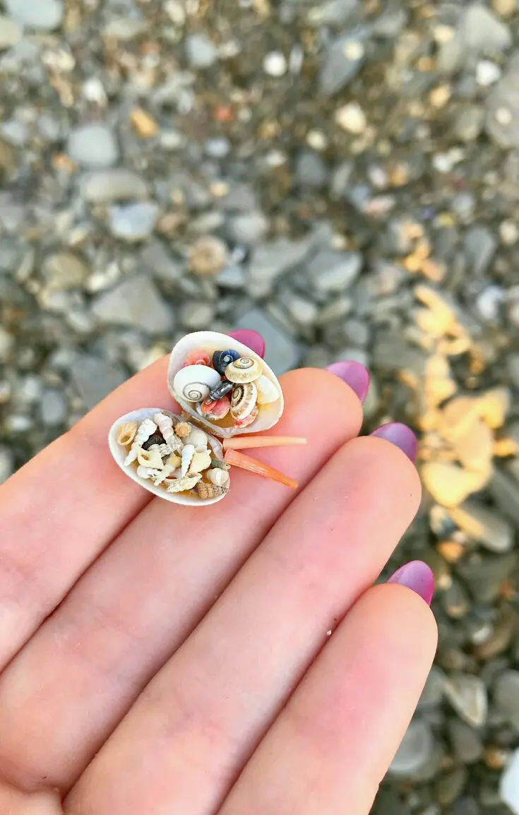 Download Wallpaper of Tiny Spiral Shells