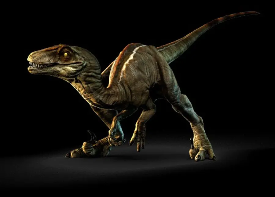Velociraptor Dinosaur Wallpaper