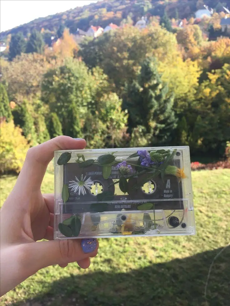 Download Background Image of Cassette Tape in Green Space
