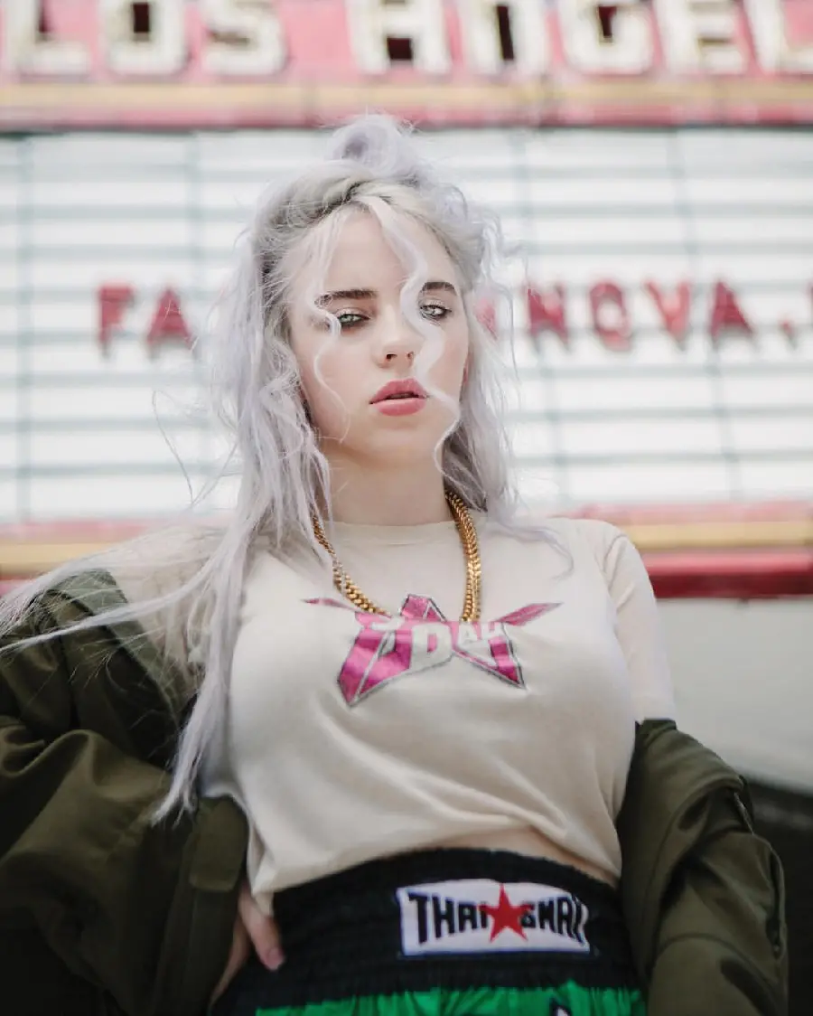 American Singer Billie Eilish Photo