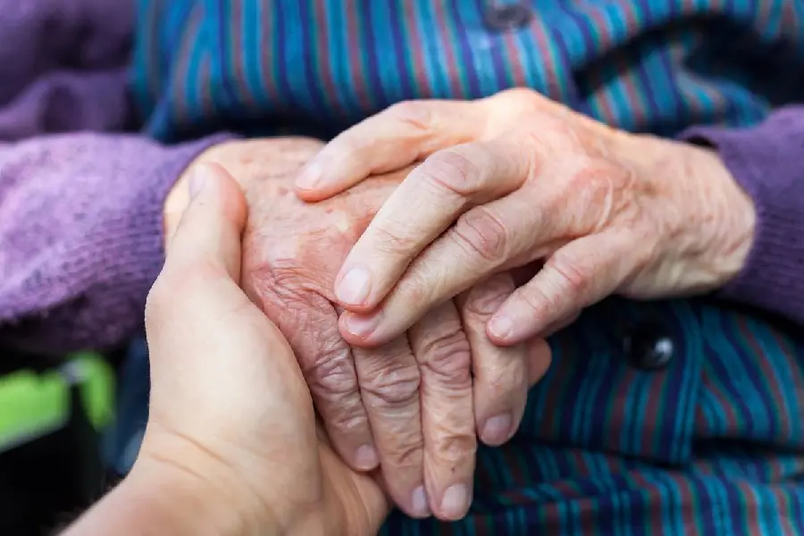 Image of Wrinkled and Tired Hands of an Elderly Person