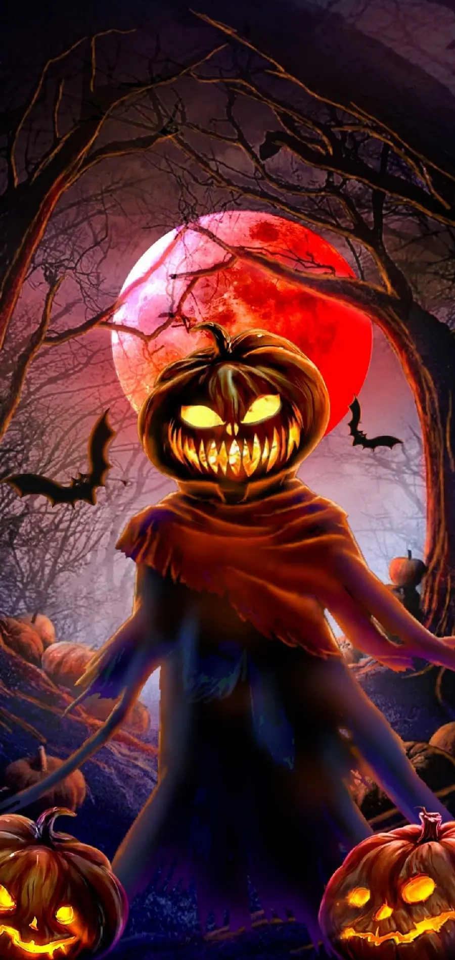Jack O Lantern Halloween Profile Picture for Social Media