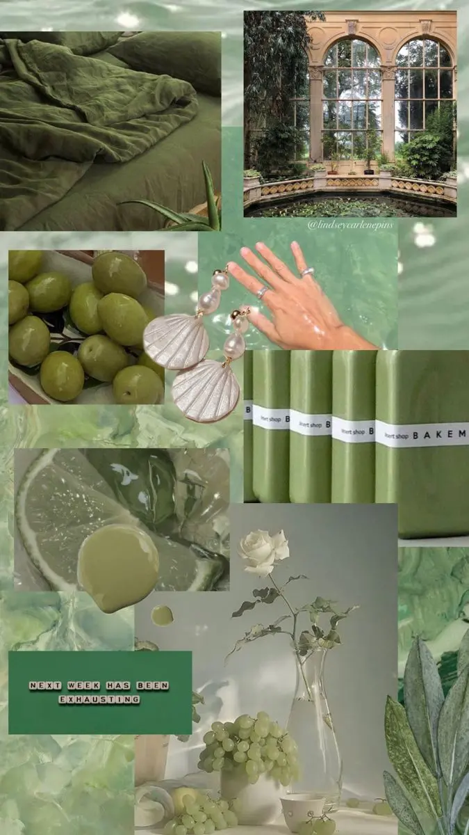 Download High-Quality Image of Olive and Shell Collage
