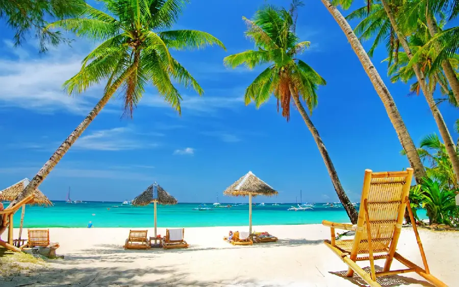 Download Beach Image for Background