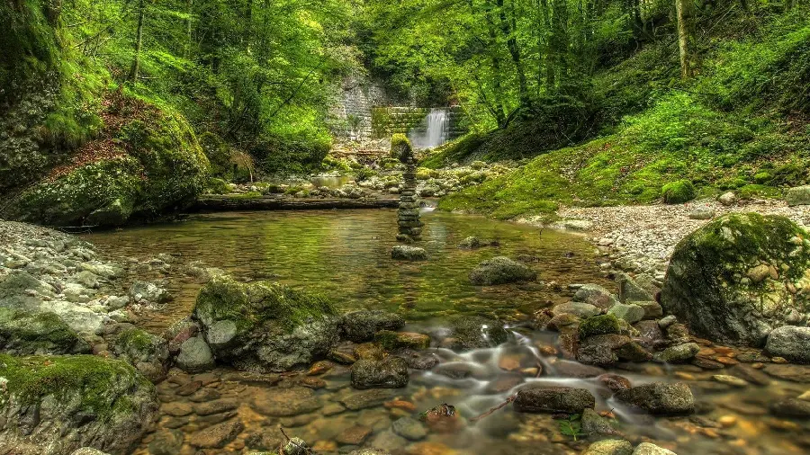 Download High-Quality Nature Image for Background
