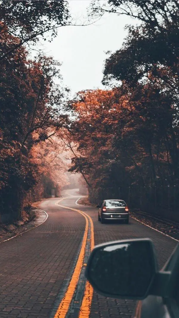 Download High Quality Autumn Road Image