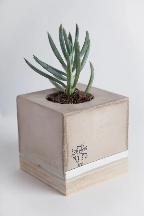 Download High-Quality Wallpaper of Flower in Concrete Vase