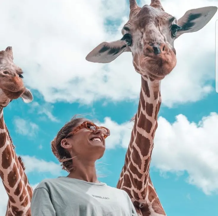 Download Giraffe and Smiling Girl Wallpaper