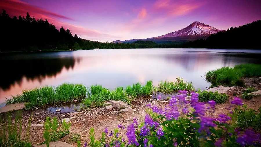 Download Background and Wallpaper Image