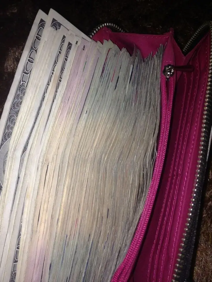 Download Profile Picture of Dollars in a Pink Wallet