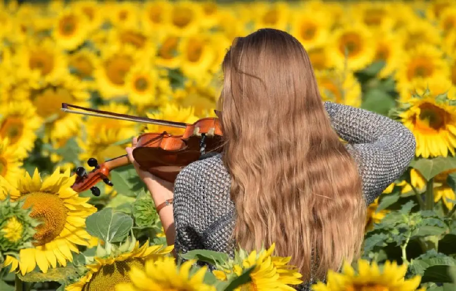 Download Beautiful Wallpaper of Girl, Violin, and Sunflowers