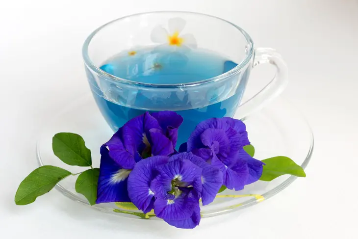 Violet Flower Tea Image and Recipe for Cold Relief