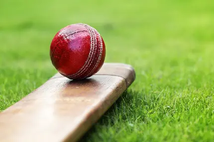 Photos of Cricket Balls