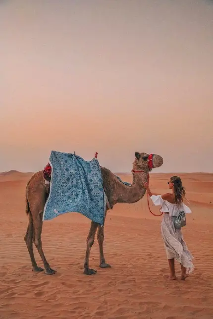 Download Girl and Camel at Desert Sunset Photo