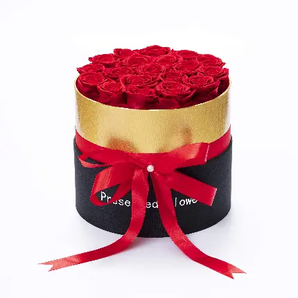 Round Red Rose Box
