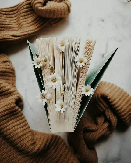 Image of Beautiful Flowers Between Book Pages