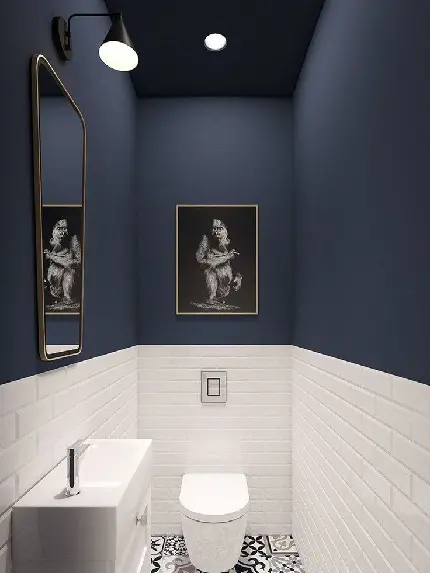 Download High-Quality Western Toilet Images
