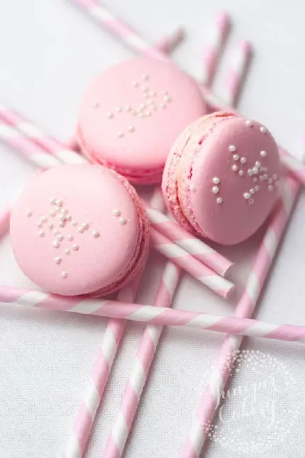 Pink Macaron Dessert Photos