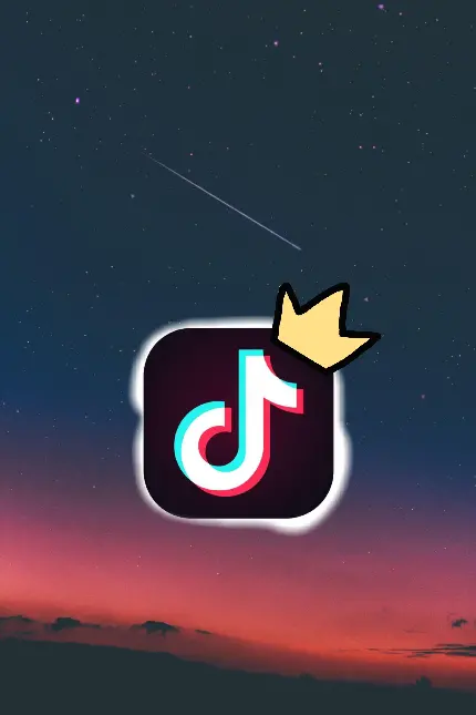 TikTok Profile Images - High Quality