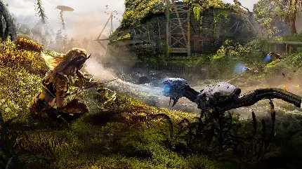 Aloy Wallpapers for Desktop in Horizon Zero Dawn