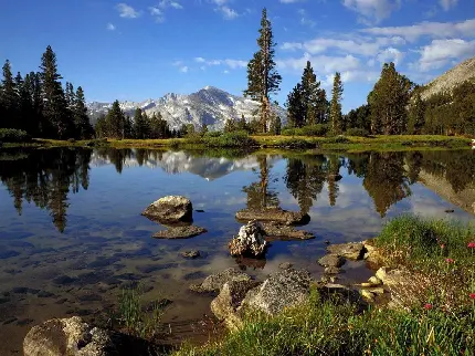 High-Quality Image Suitable for Windows Background