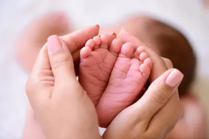 Download Images of Midwifery Major and Its Subfields