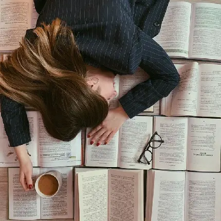Sleeping on Books Image