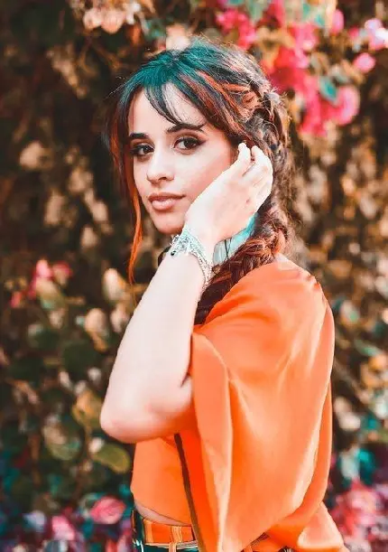 Download Camila Cabello Wallpaper Charity Work