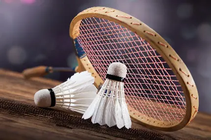 Free Download Image of Team Sport Badminton with Direct Link