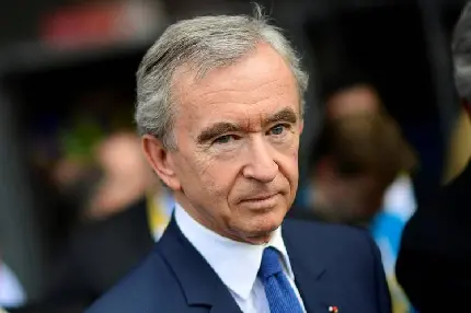 Download Bernard Arnault CEO of LVMH Image