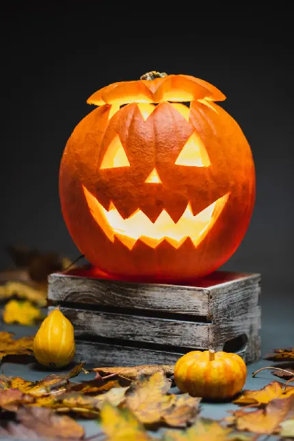 Halloween Pumpkin Photo with Candle for Spooky Decor