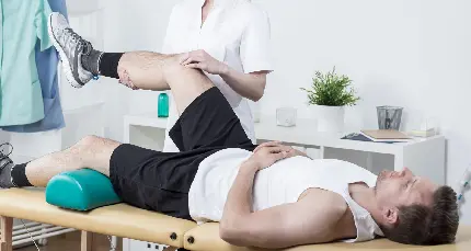 Download Images of Physiotherapy Major and Job Market