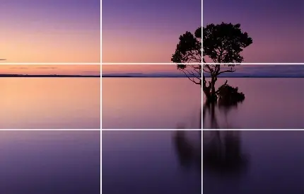 Rule of Thirds Photography Technique Image